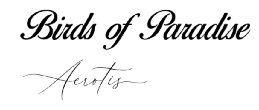 PLUS SIZE: Gepersonaliseerde Satijnen Kimono Set - HADIYAA